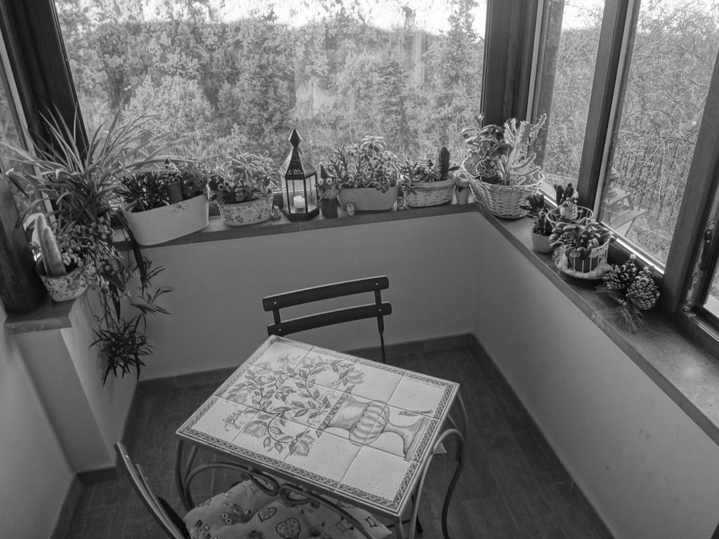 La Casetta Della Nonna Bagnoregio Oda fotoğraf